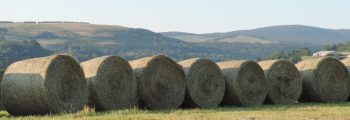 RENCONTRE DU VENDREDI / Quelle agriculture pour demain ?